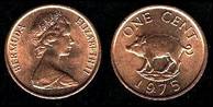 Identify Coins