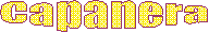 Pagina precedente