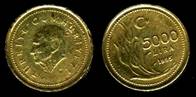 Identify Coins