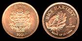 Identify Coins